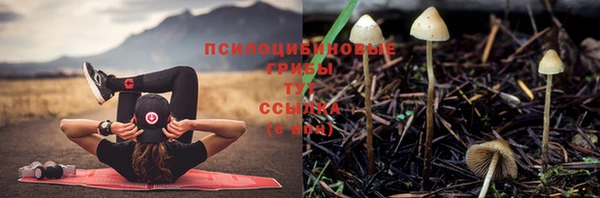 тгк Абдулино