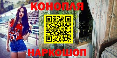 гашик Гагарин