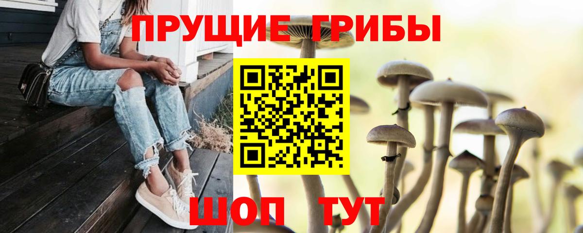 Псилоцибиновые грибы Cubensis Великий Новгород