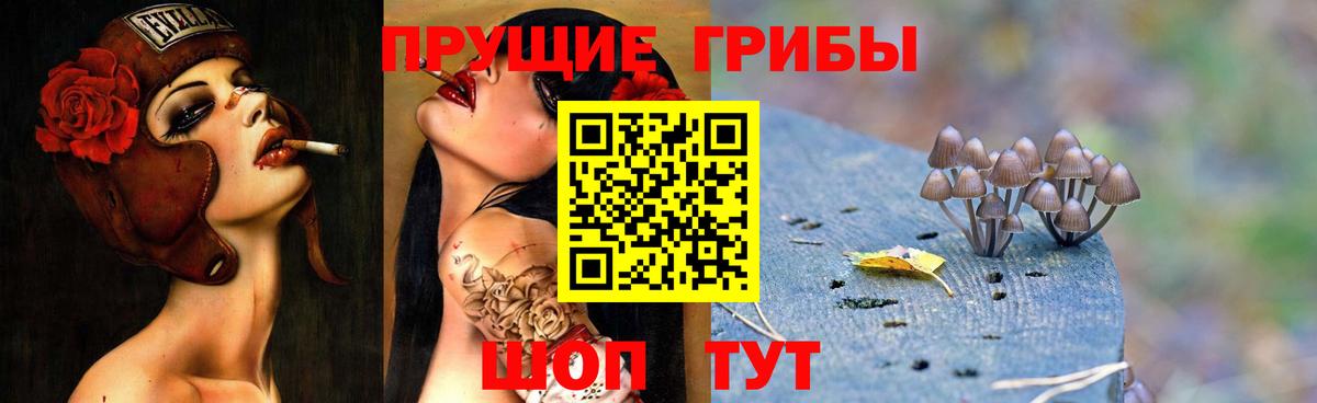Псилоцибиновые грибы мицелий  Псилоцибиновые грибы GOLDEN TEACHER  Вход с VPN  Великий Новгород 